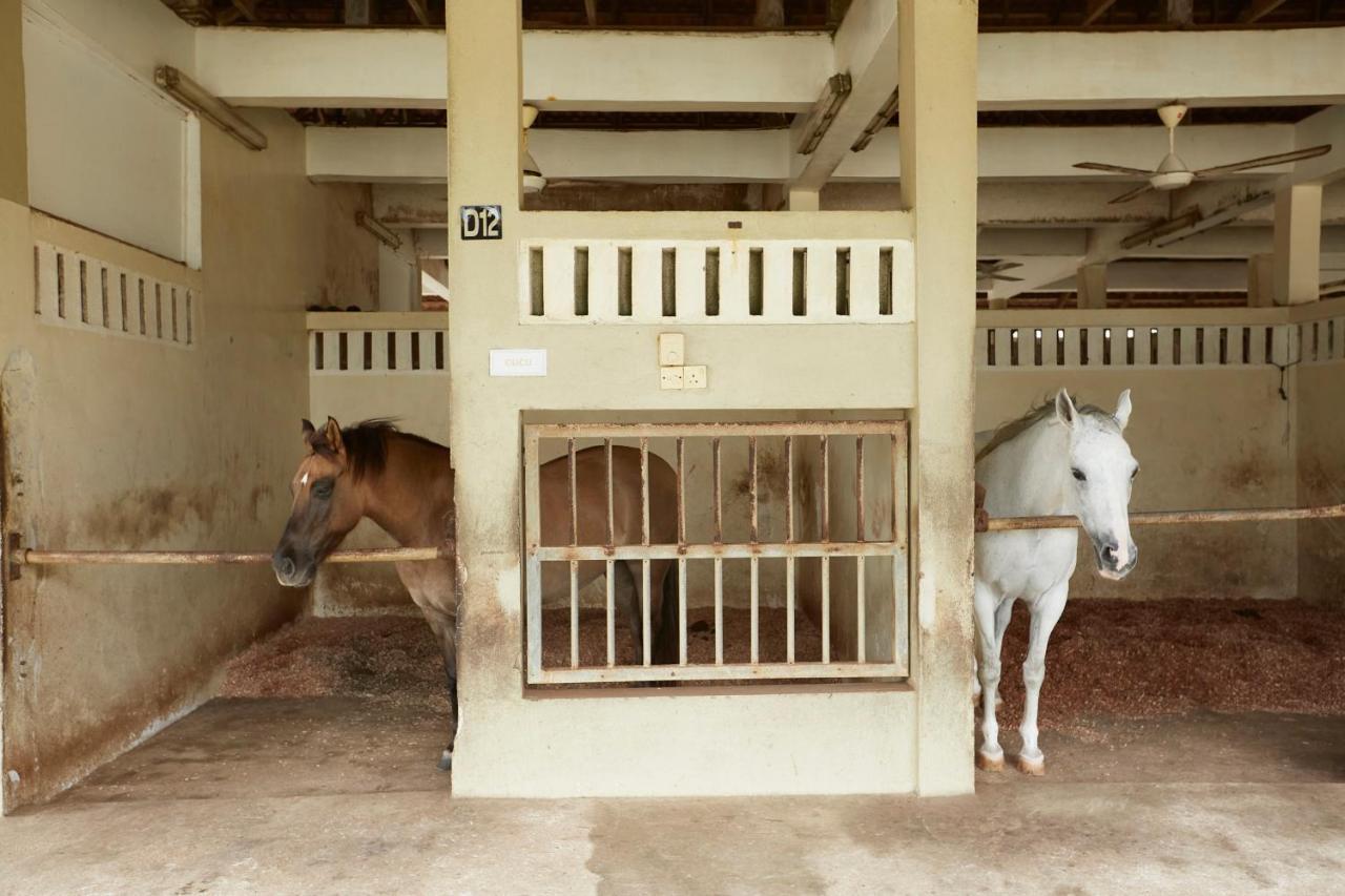 Terengganu Equestrian Resort Kuala Terengganu Kültér fotó