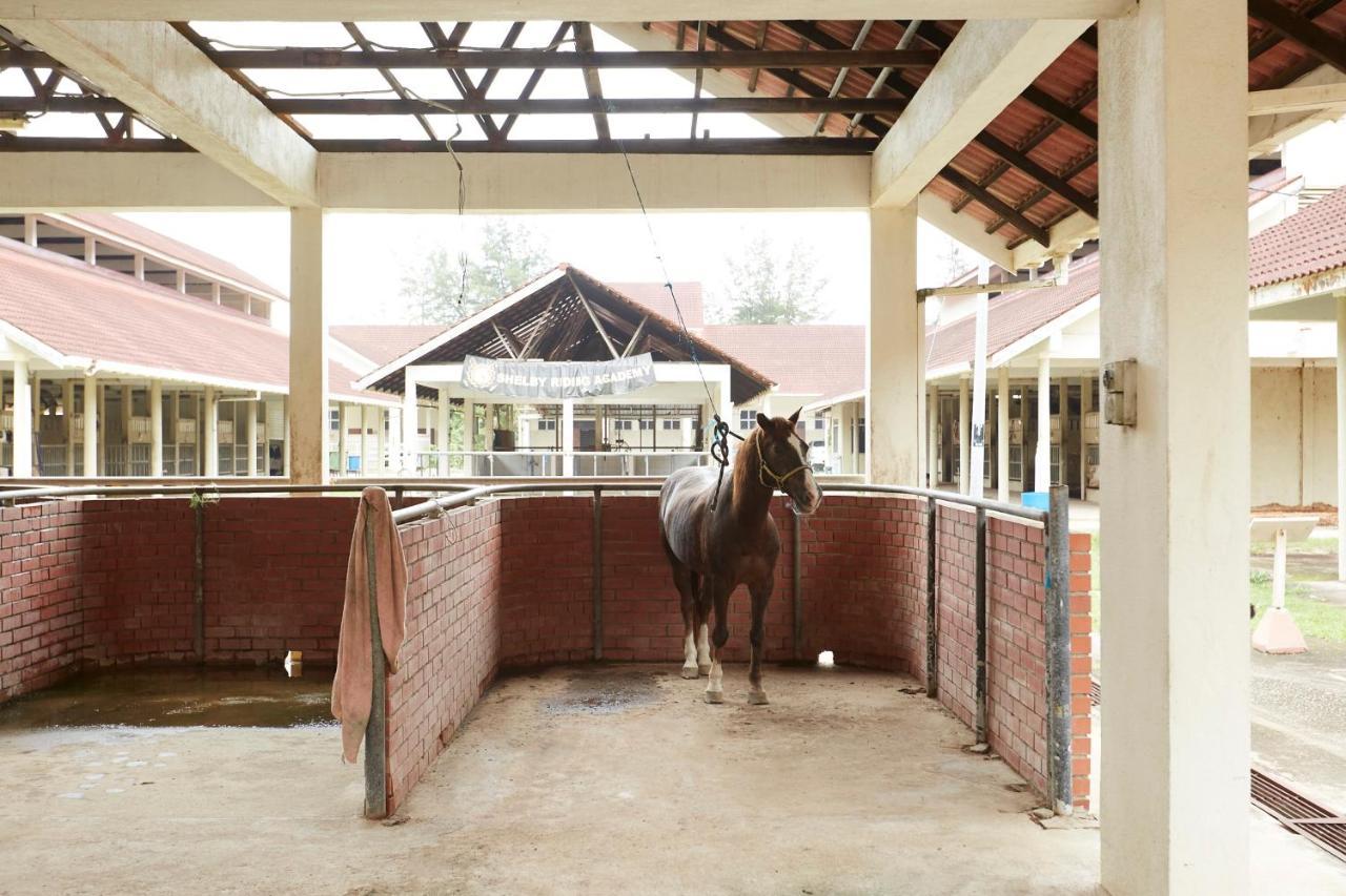 Terengganu Equestrian Resort Kuala Terengganu Kültér fotó